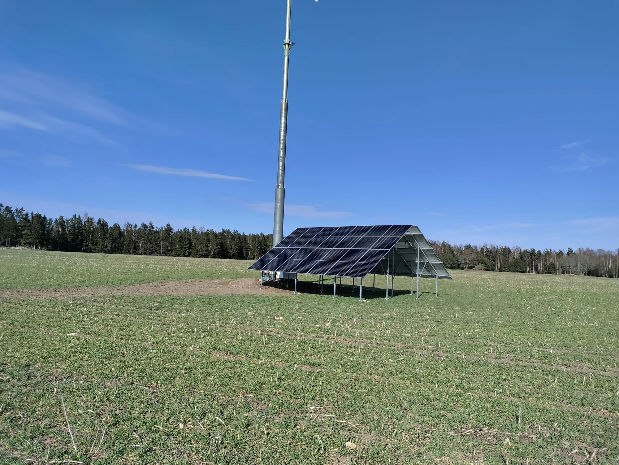 Ground-mounted plant in a field